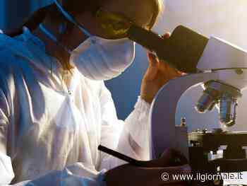 Colera: sintomi, cure e come si trasmette