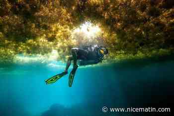 Augmentation des accidents de plongée: "Il ne faut pas surestimer ses capacités physiques et bien se préparer", rappelle la préfecture maritime