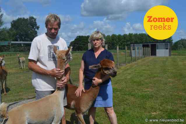 ZOMERREEKS. Geert (57) voelt van kindsbeen af veel kriebels voor dieren: “Als 12-jarige boerenzoon trok ik al per fiets met pluimvee naar de Oude Beestenmarkt in Gent”