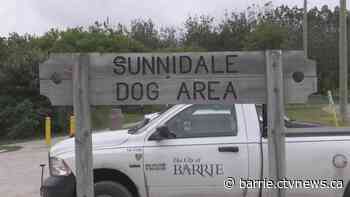 Sunnidale Dog Area temporarily closed: Here's what you need to know