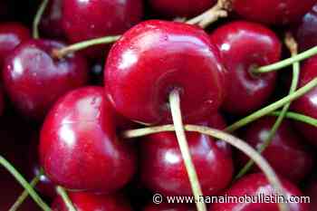 Buy local urges BC Tree Fruits, as U.S. cherries flood market
