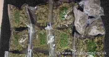 University-educated Hull drug dealer snared by faulty brake light