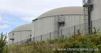 Investigation launched over 'foul smell' from Tyneside waste plant after MP's complaint