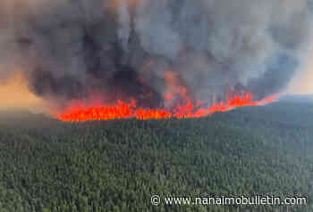 Uzelman: B.C. forest practices further fuel massive fires