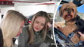 „Dumme Kinder“: Davina und Shania Geiss verlieren Hund in eigener Tiefgarage