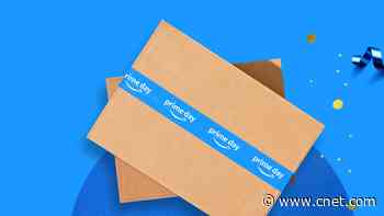 How Amazon Prime Day Sales Could Snag Me Hook, Line and Sinker     - CNET