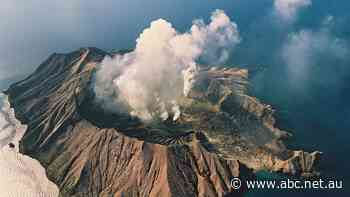 Three brothers own the NZ volcano that killed 17 Australians. Today they go on trial