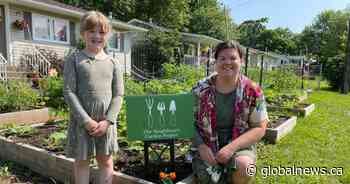 N.B. woman turns yard into vegetable garden to inspire others to grow food
