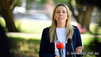 NSW's first rental commissioner faces big task as new report pinpoints Sydney suburbs in pain