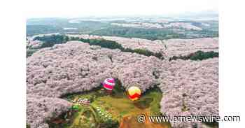 Eco Forum Global Guiyang 2023 kicks off in southwest China