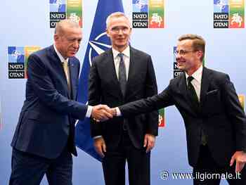 "Svezia presto nella Nato". Ecco perché Erdogan dà il via libera