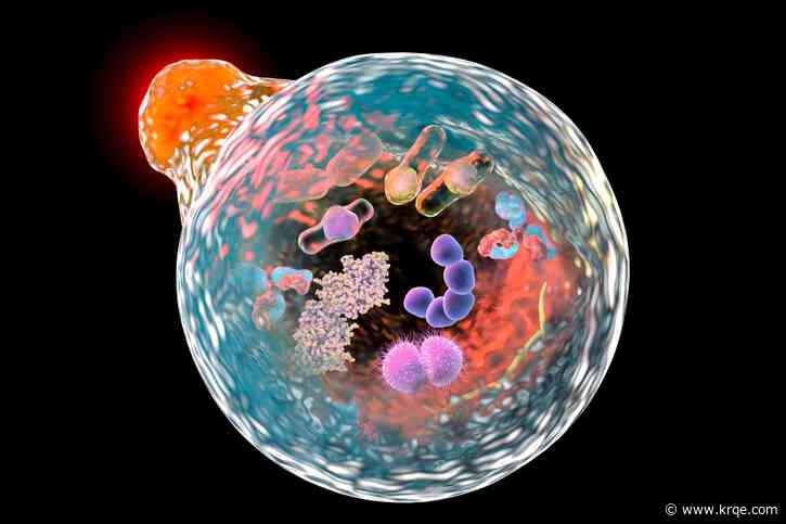 UNM's AI-assisted research uncovers "dark genes"