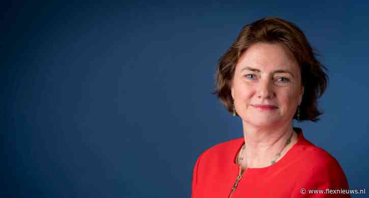 Wet Meer zekerheid flexwerkers in consultatie, status onduidelijk.