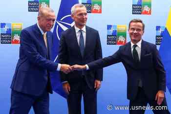 Turkey Backs Sweden's NATO Entry