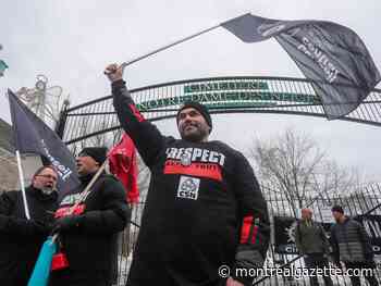 Arbitrator could be next step in Notre-Dame-des-Neiges Cemetery strike
