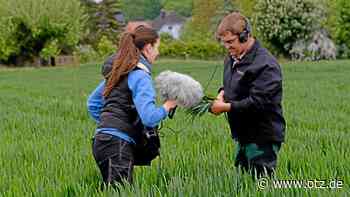 Premiere im Rathaus: Filme über den Arbeitsalltag in Dornburg-Camburg