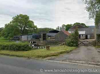 Lime House Farm near Clitheroe submits plans for cattle storage