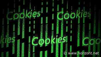 Targeting: Wie Leserschaftsdaten Third-Party-Cookies ersetzen können