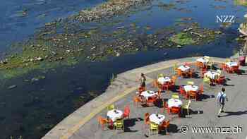 Der letztjährige Hitzesommer dürfte in Europa über 60 000 vorzeitige Todesfälle verursacht haben