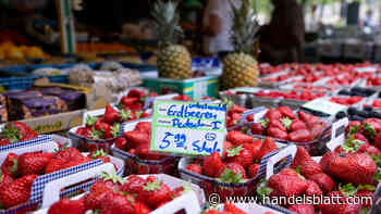 Preisentwicklung: Statistiker bestätigen: Inflation steigt im Juni auf 6,4 Prozent