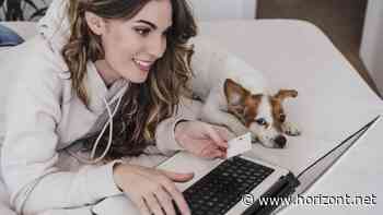 Umsatzrückgang erwartet: Online-Handel leidet unter der schlechten Konsumstimmung