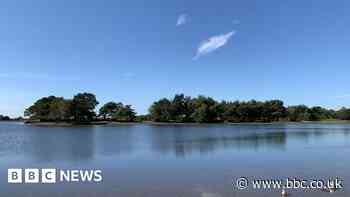 New Forest's Hatchet Pond reopens after restoration work