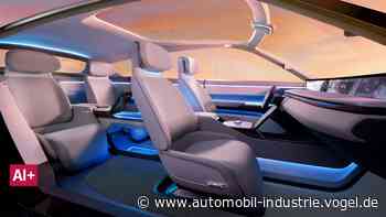 Hasco: Ein Musterbeispiel der kapitalistischen Planwirtschaft