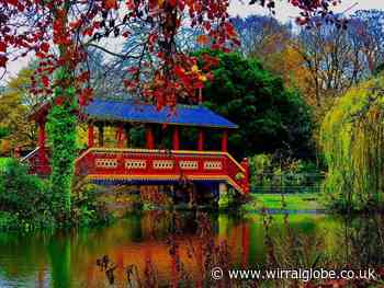 Free festival to celebrate residents comes to Birkenhead