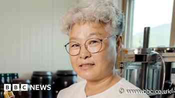 From trauma to training - new lives for North Korea’s defectors