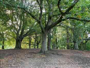 Met Police officer dismissed after Hampstead Heath indecency