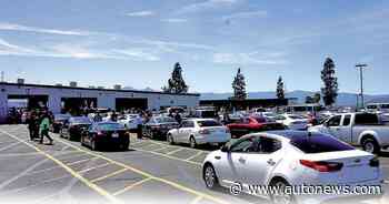 June U.S. wholesale used-car prices take a dive