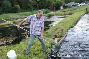 Steinhagen: Statt Weizen Fische züchten