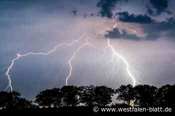 Paar steckt bei Gewitter fest: Gefangen im Forest bei Fürstenau