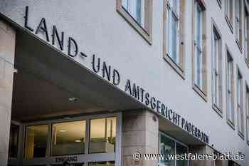 Häuslebauer in Schlangen misstrauen Handwerker