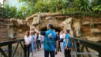 Was der Rostocker Zoo in den Sommerferien alles zu bieten hat
