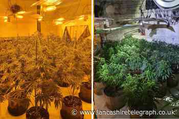 Police find 200 plants at cannabis farm in Preston