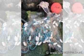 Calls for end of Gill netting use on Wirral