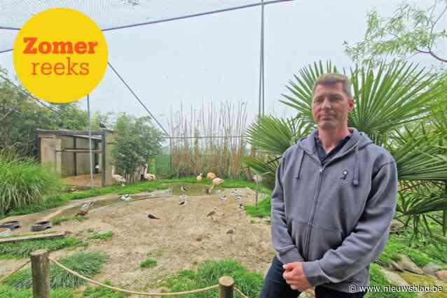 ZOMERREEKS. Kim (43) houdt zestig verschillende soorten vogels in zijn tuin: “Je kan een kijkje nemen in de verblijven van hokko’s, flamingo’s, kraanvogels, ibissen, waadvogels en nog veel meer”