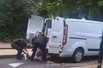 Dogs seized by Met Police after boy bitten in Poplar park