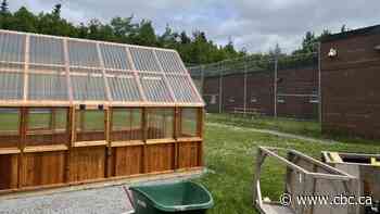 'It clears my head': How working with plants is helping the women behind bars in N.L.