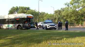 Chicago woman celebrated her birthday hours before dying in wrong-way crash with CTA bus