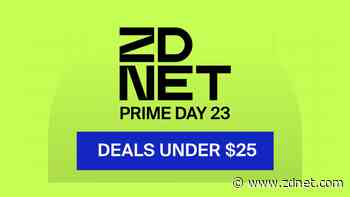 The 14 best Amazon Prime Day 2023 deals under $25