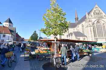 Wochenmarkt fällt während Libori aus