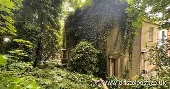 Look around the 'hidden house' in Clifton on auction for a steal