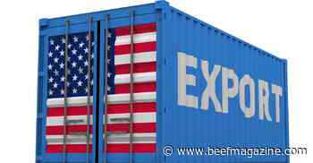 Beef and cattle trade responds to market conditions