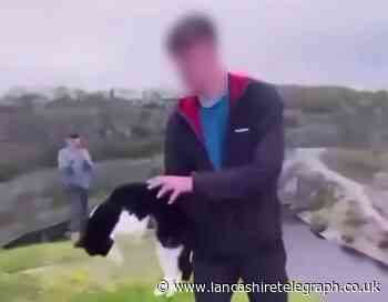 Shocking video shows boy hurling cat off cliff in Lancashire