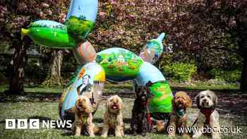 Swindon art trail showcases balloon shaped dog sculptures