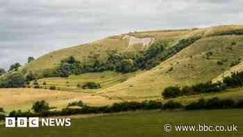 Westbury White Horse given pressure wash by abseilers