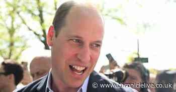 Prince William's hilarious exchange with little boy who did not recognise him during walkabout