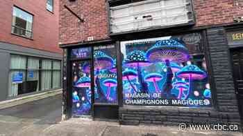 A magic mushroom dispensary is opening in Montreal. The only problem? It's illegal